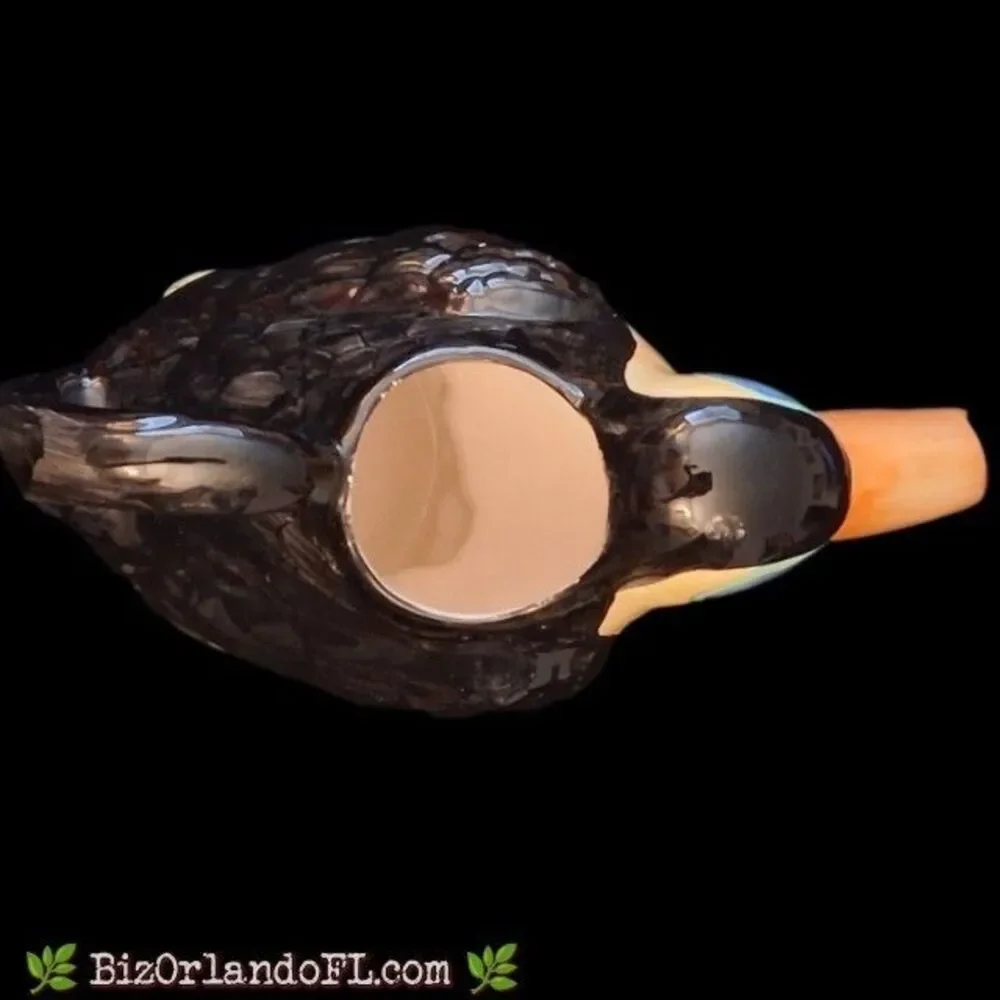VINTAGE: 1980s Quon-Quon Ceramic Toucan Pitcher / Tropical Bar / Home Decor HTF